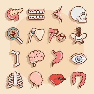 İnsan anatomisi organları sağlık pankreas diş kafatası kemik göz mide ikonları koleksiyon hattı ve doldurmak