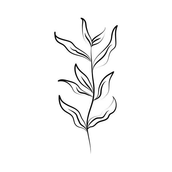 Minimalistyczna linia tatuażu art zioło i liście rustykalne — Wektor stockowy