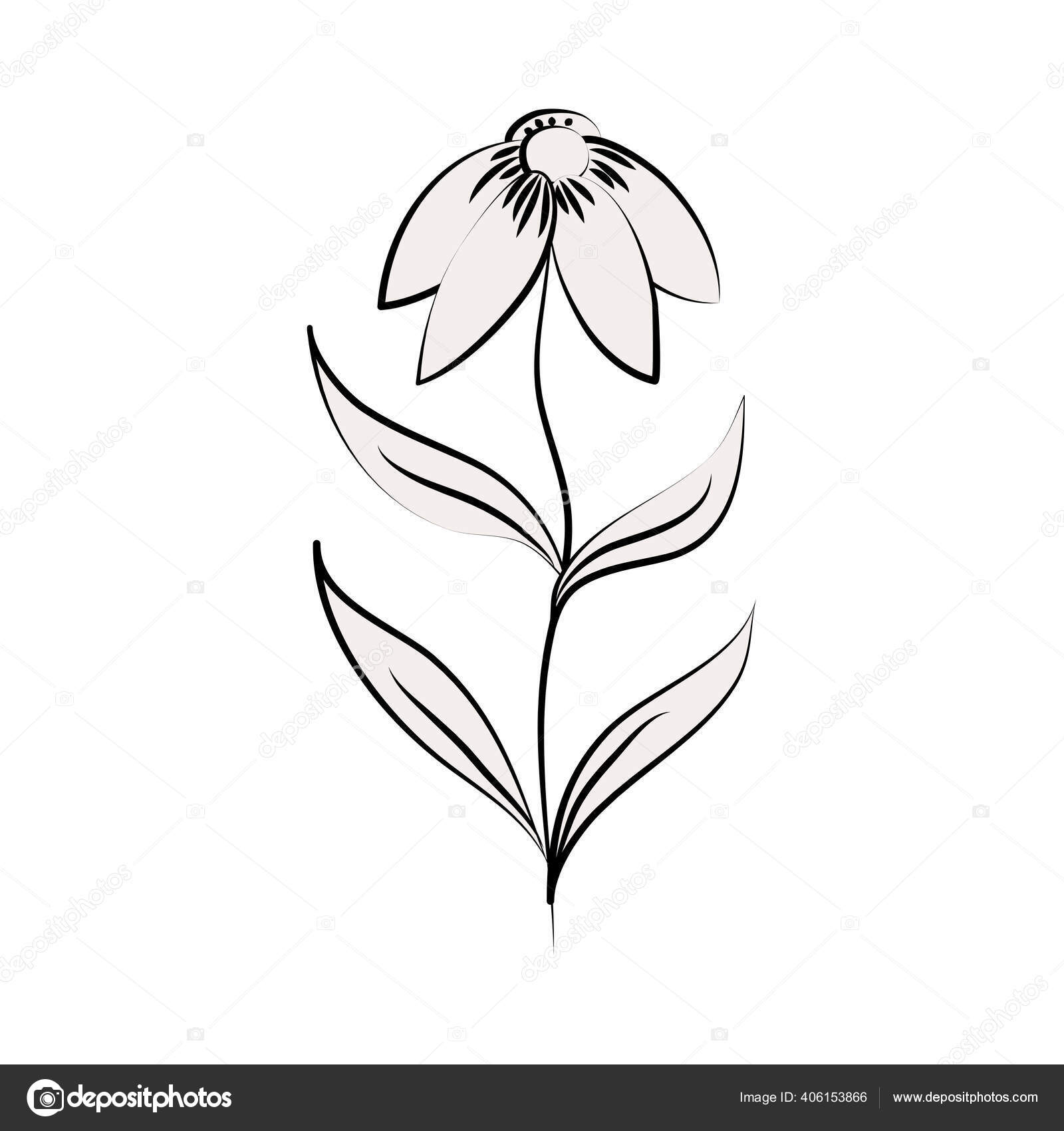 Linha de flor de tatuagem minimalista arte flor botânica Vetor de ©stockgiu  406153866, image size:1600x1700