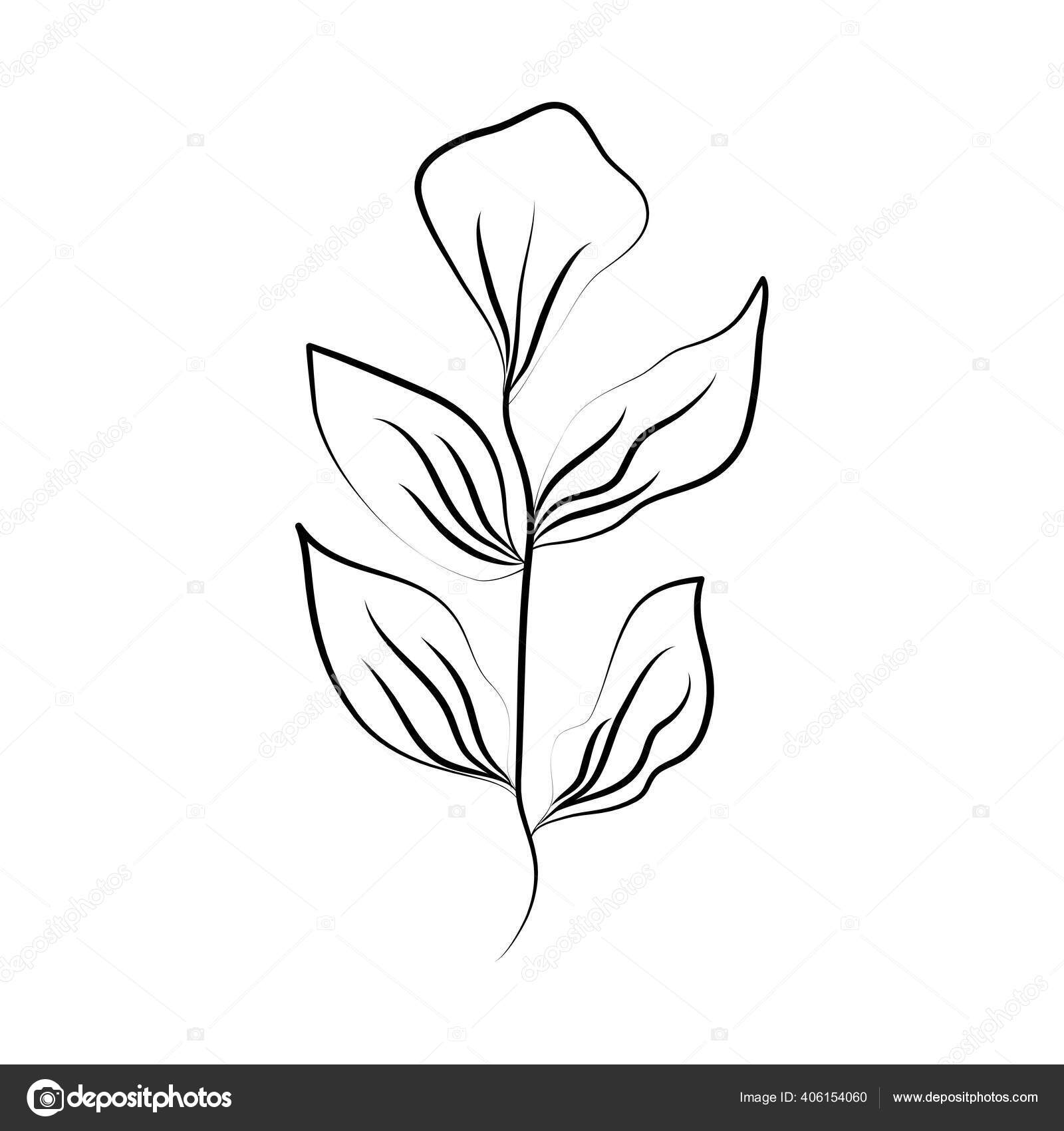 Tatuagem minimalista folhas folhagem erva linha arte Vetor de ©stockgiu  406154060, image size:1600x1700