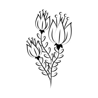 Minimalist dövme çiçekleri narin bitki çizgileri bırakır