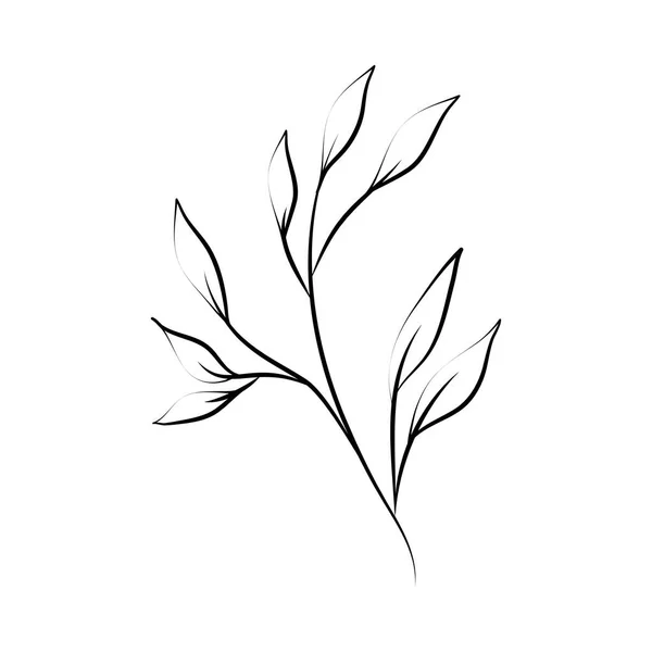 Tatouage minimaliste branche rustique flore ligne art herbes et feuilles — Image vectorielle