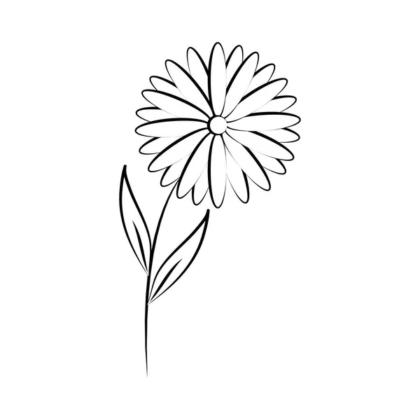 Minimalista tatuaje flor margarita naturaleza línea arte hierba y hojas — Vector de stock