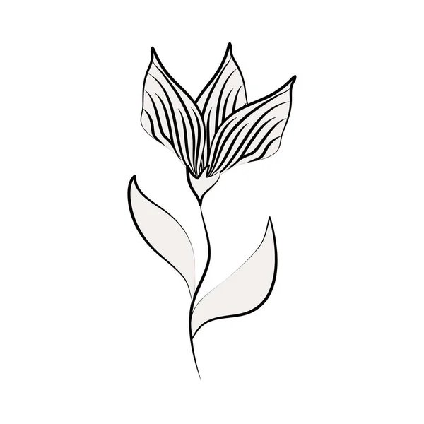 Fiore del tatuaggio minimalista elegante flora linea arte erba e foglie — Vettoriale Stock