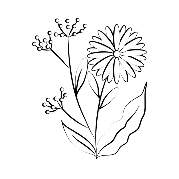 Minimalista tatuaggio fiore frutta botanico linea arte erba e foglie — Vettoriale Stock
