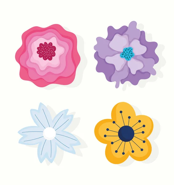 Diferentes flores pétalos naturaleza decoración ornamento iconos — Archivo Imágenes Vectoriales