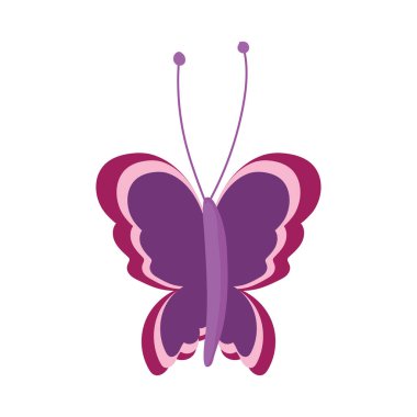 Güzel kelebek narin böcek, izole edilmiş ikon beyaz arkaplan