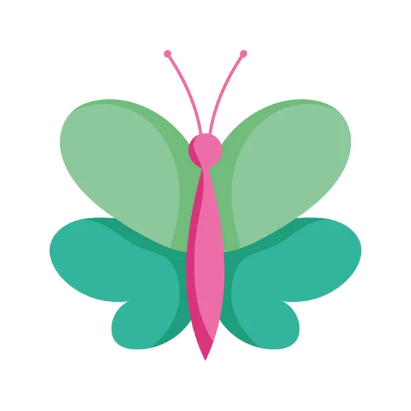 Groene mooie vlinder delicate insect geïsoleerde pictogram witte achtergrond — Stockvector