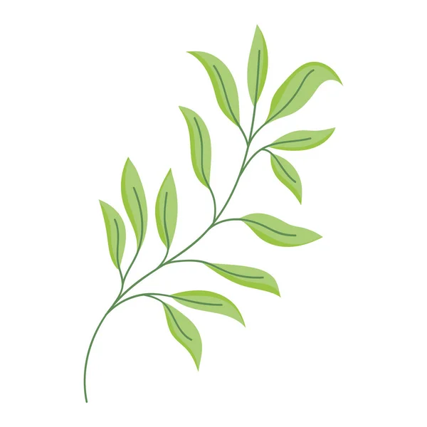 Zweig Blätter Laub Dekoration Symbol weißen Hintergrund — Stockvektor