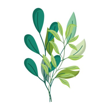 dal yaprak dekorasyonunu izole edilmiş beyaz arkaplan olarak bırakır