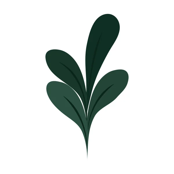 Rama hojas follaje decoración icono fondo blanco — Vector de stock