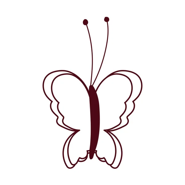 Beau papillon délicat insecte isolé icône blanc fond ligne style — Image vectorielle
