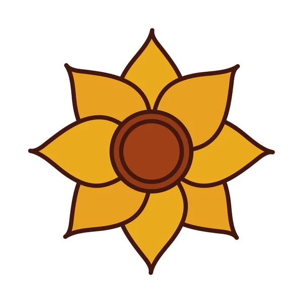 Соняшникова квітка лінія природи і значок заповнення — стоковий вектор