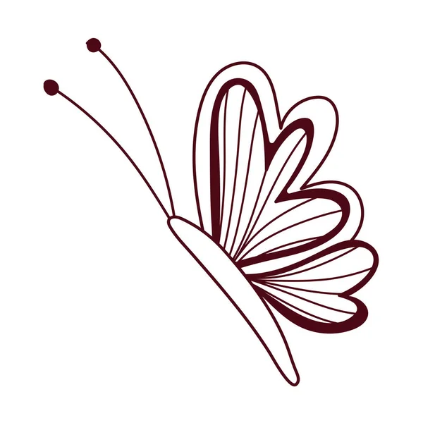 Papillon délicat insecte isolé icône blanc fond ligne style — Image vectorielle