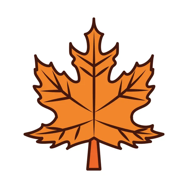 Javorový list listí podzimní linie a výplň ikony — Stockový vektor