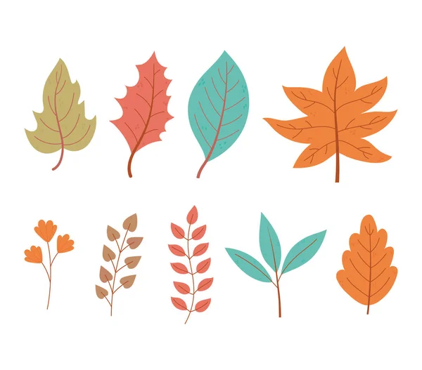 Autumn leaves maple branch foliage nature icon set — Stock Vector