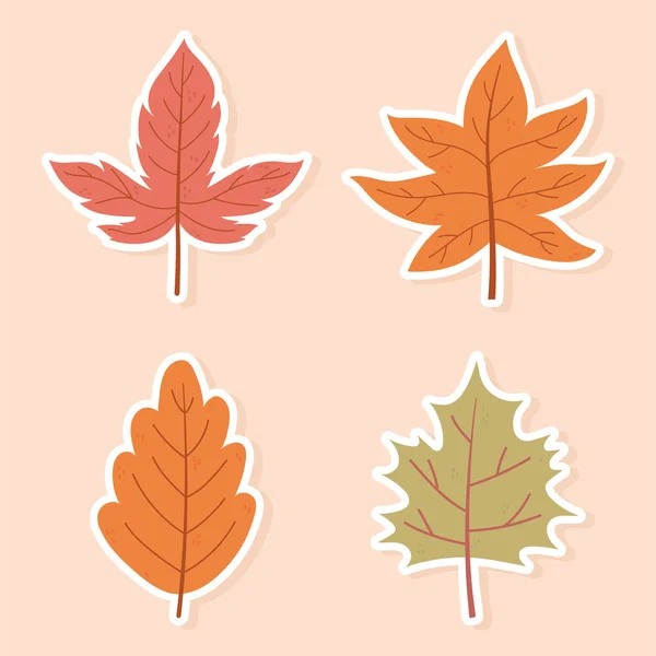 가을 단풍나무 잎 자연 장식 스티커 성상 — 스톡 벡터