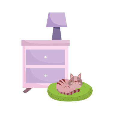 Yastık altında lamba ve kedi olan masa izole beyaz arkaplan
