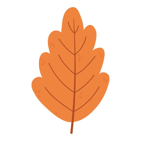 Podzimní list listí příroda izolovaný ikona styl — Stockový vektor