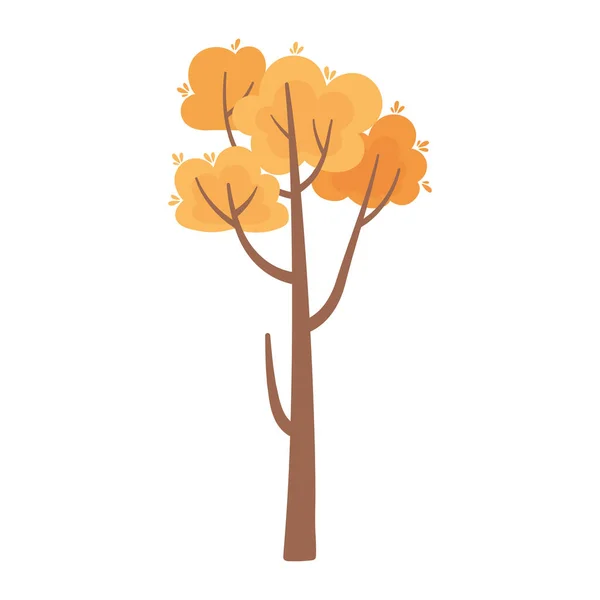 Follaje de árboles frondosos botánico aislado icono estilo — Vector de stock