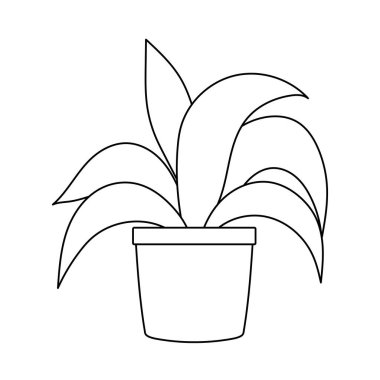 saksı bitkisi süslemesi izole edilmiş simge çizgisi biçimi