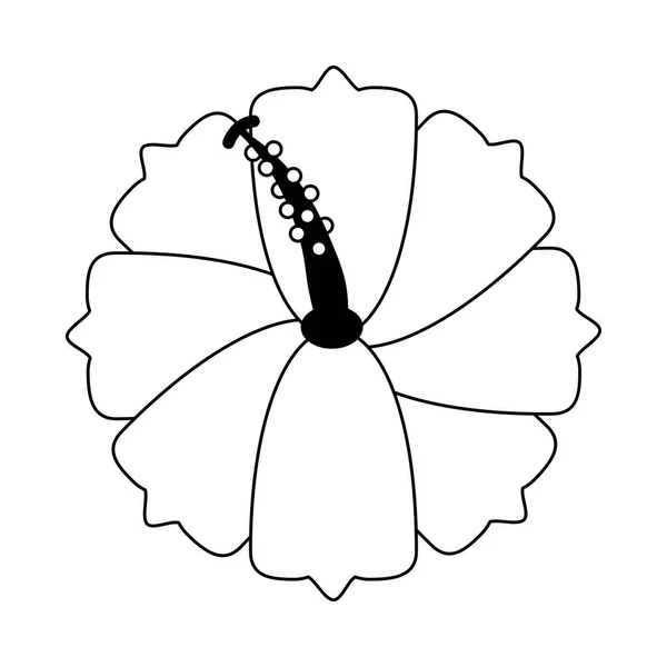 Ιβίσκος λουλούδι τροπικό floral φύση γραμμή στυλ εικονίδιο — Διανυσματικό Αρχείο