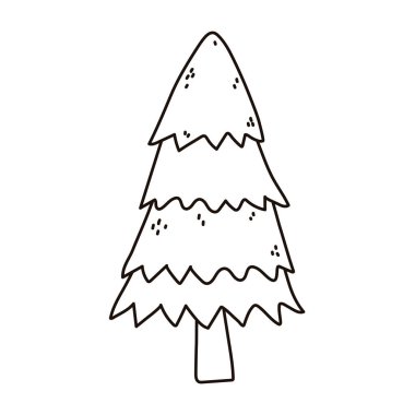 çam ağacı orman botanik izole edilmiş ikon çizgisi biçimi