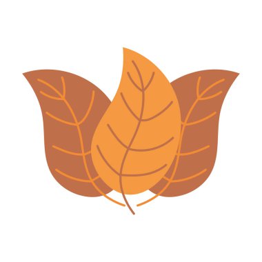 Sonbahar yaprakları doğal izole ikon biçimi