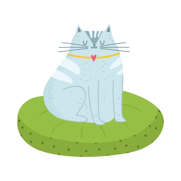 Chat gris assis sur coussin design isolé fond blanc — Image vectorielle