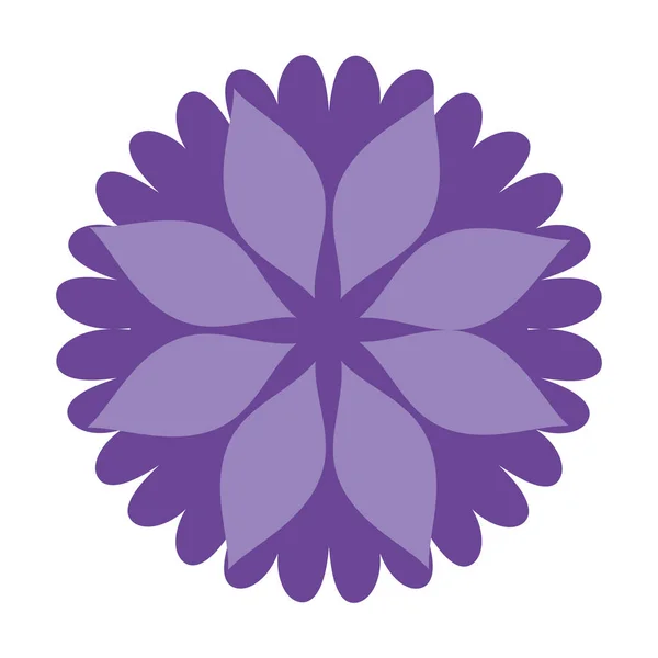 Décoration fleur violette style icône isolé — Image vectorielle