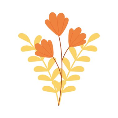 Sonbahar çiçekleri yaprak izole simge biçimi bırakır