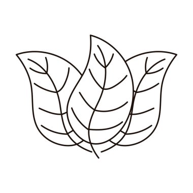 Sonbahar yaprakları doğal izole ikon çizgisi biçimi