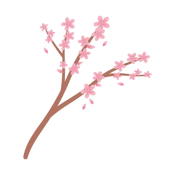 Banch árvore sakura flores folhagem decoração isolado ícone estilo —  Vetores de Stock