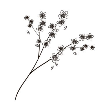 Banch ağacı sakura çiçekleri yaprak süslemesi izole edilmiş simge çizgisi biçimi