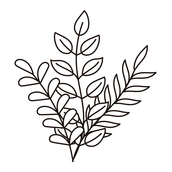 Podzim listí listy větev přírodní izolované ikony styl čáry — Stockový vektor
