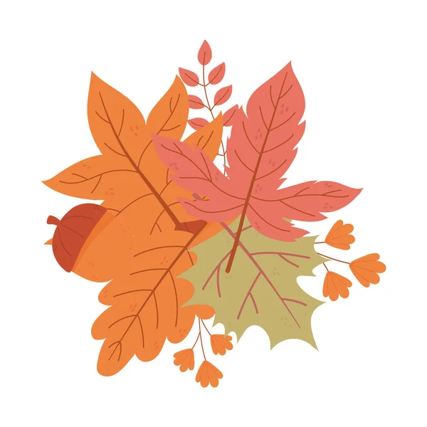 Otoño follaje bellota hojas naturaleza aislado icono estilo — Vector de stock