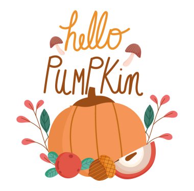 Merhaba sonbahar, tebrik kartı dekoratif balkabağı meşe palamudu yaprakları