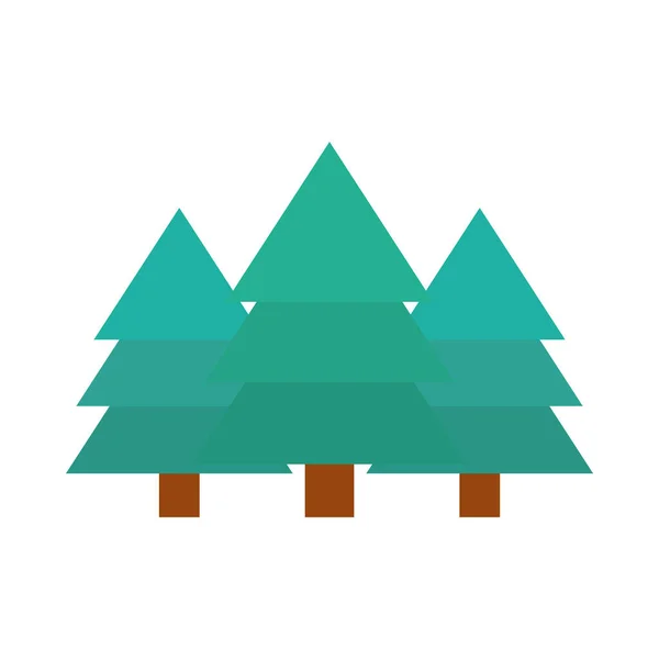 Borovice les botanická příroda plochý ikona styl — Stockový vektor