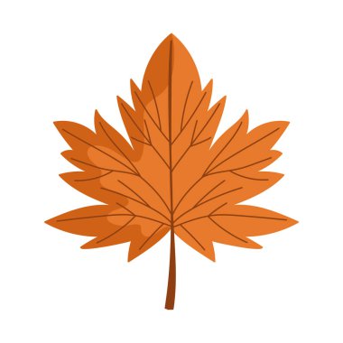 Akçaağaç yaprağı yaprakları doğa izole edilmiş simge beyaz arkaplan