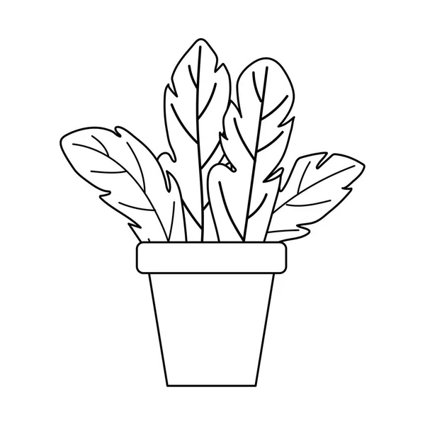 鉢植えの葉の装飾隔離されたデザイン白の背景ラインスタイル — ストックベクタ