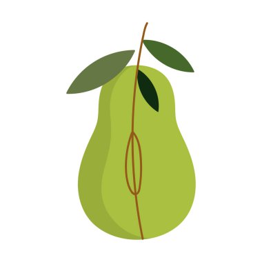 Yapraklı taze armut armut beyaz arkaplan