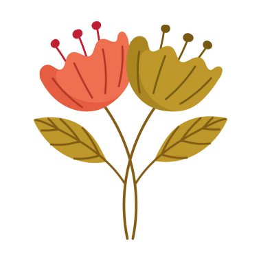 Çiçekler doğa dekorasyonu izole edilmiş beyaz arkaplan