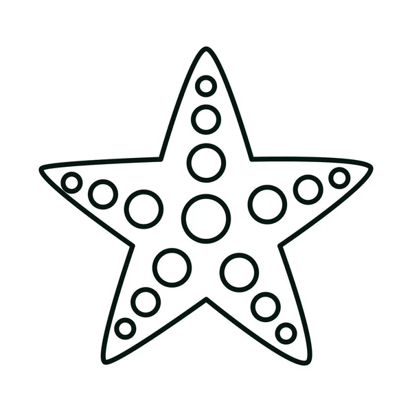 Estrella de mar vida animal fauna lineal icono estilo — Vector de stock