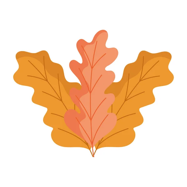 Hojas de otoño temporada botánica diseño aislado fondo blanco — Vector de stock