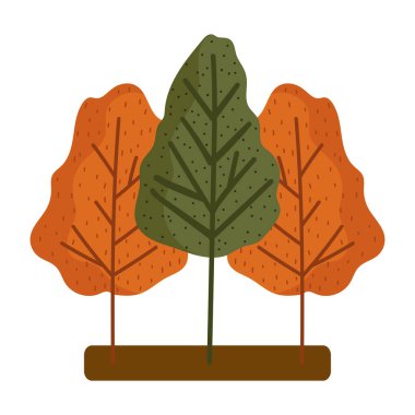 Orman ağaçları mevsimlik yeşillik sonbahar izole edilmiş tasarım beyaz zemin