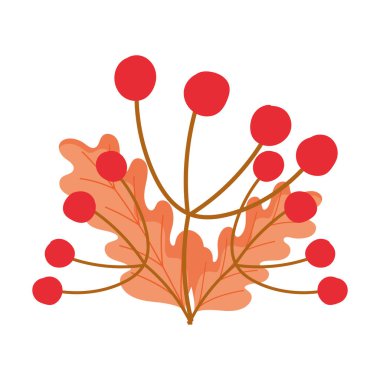 Sonbahar yaprakları yaprakları izole edilmiş beyaz arkaplan tasarımı