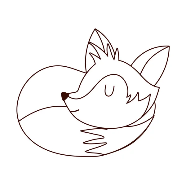 Lindo dormir zorro animal dibujos animados aislado diseño blanco fondo línea estilo — Vector de stock