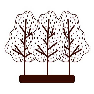 Orman ağaçları sonbaharda izole edilmiş beyaz arkaplan çizgisi tarzını terk eder