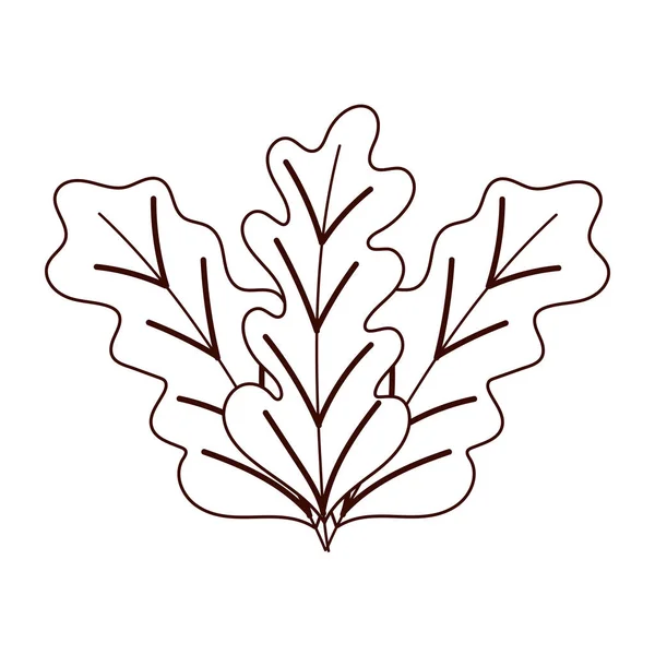 Φθινόπωρο φύλλα βοτανική εποχή απομονωμένο σχεδιασμό λευκό φόντο στυλ γραμμή — Διανυσματικό Αρχείο