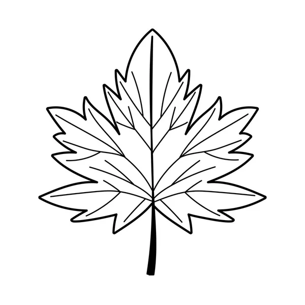 Φύλλο σφενδάμνου φύλλωμα φύση απομονωμένη εικόνα λευκό φόντο στυλ γραμμή — Διανυσματικό Αρχείο